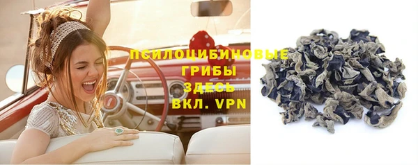 дживик Михайловск