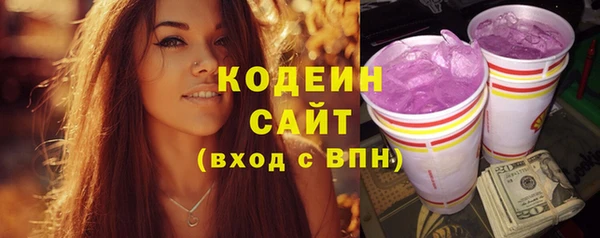 индика Михайловка