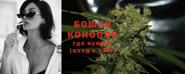 индика Михайловка