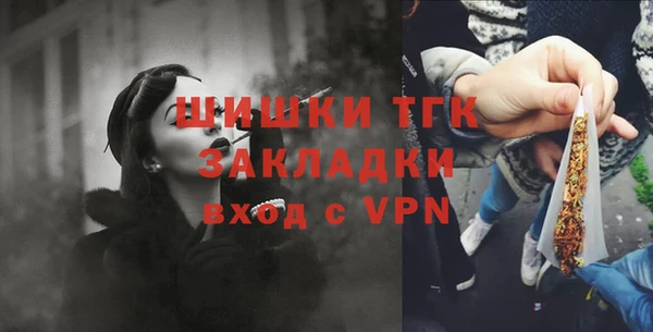 дживик Михайловск