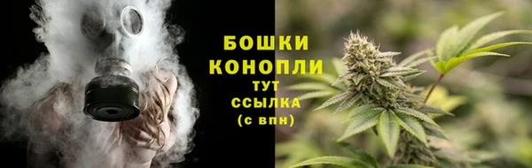 индика Михайловка