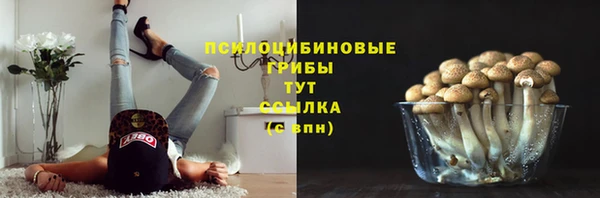индика Михайловка