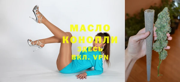 индика Михайловка