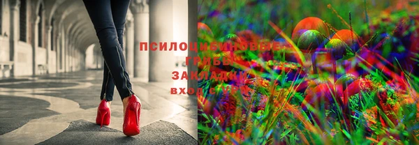 трава Бикин