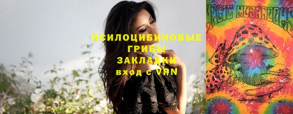 эйфоретик Михайлов