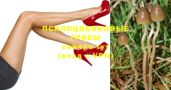 дживик Михайловск
