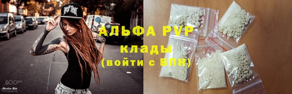 индика Михайловка